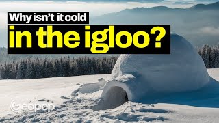 Why is it not cold inside igloos even though they are made of ice [upl. by Gorrono86]