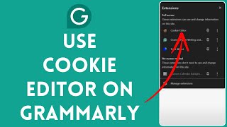 How to Use Cookie Editor on Grammarly 2024 [upl. by Nabalas328]