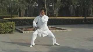 Chen Style Tai Chi form  83 movement Yi Lu [upl. by Sirama]