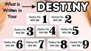 Pick Your Destiny Noभाग्य अंक☀️What is Written in Your Destiny in 2024☀️ [upl. by Evadne384]