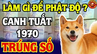 CẢNH BÁO CANH TUẤT 1970 Làm gì để được phật độ Biết Được Mệnh Trời Đổi Đời Đại Gia Trả Sạch Nợ [upl. by Topliffe115]