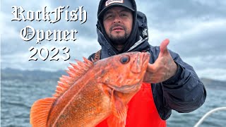 Rockfish Opener 2023 Port San Luis [upl. by Mars]