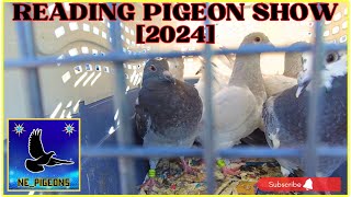 The Biggest Pigeon Show  Lancaster PA 2024 🕊️ [upl. by Ahserb127]