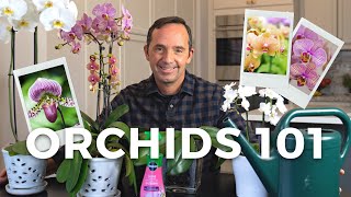 Caring for Orchids A StepbyStep Guide [upl. by Yadnus218]