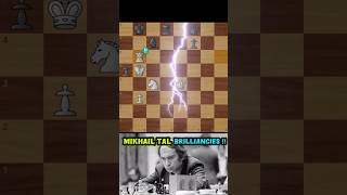 💎Mikhail Tal Royal knight dance💎 chess mikhailtal chesstactics brilliantmove chesstime [upl. by Marquita]