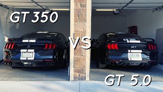 GT350 VS GT PERFORMANCE PACK [upl. by Gomer]