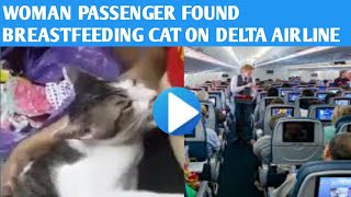 Woman Passenger Found Breastfeeding Cat on Delta Airline Flight [upl. by Nevaj]