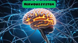 Introduction to physiology of Nervous system CNS and PNS مقدمة لعلم وظائف الجهاز العصبي [upl. by Llibyc]