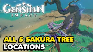 All 5 Sakura Tree Locations In Genshin Impact Sakura Arborism World Quest Guide [upl. by Ailema]