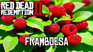 LOCALIZAÇÃO FRAMBOESA RED DEAD REDEMPTION 2DESAFIO DIÁRIO XBOXPS4PS5PC [upl. by Nnaecarg]