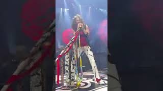 View from the VIP Pit Aerosmith Deuces are Wild Las Vegas Sept 17 2022 Park MGM Steven Tyler [upl. by Auberon]