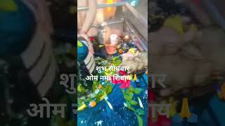 jag ka syami h tu antar Yami h tutuktuk gupta shortvideos on namah shivaya 🙏 [upl. by Grail]