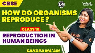 How Do Organism Reproduce L4  Reproduction in Human Beings  Sandra maam💥 [upl. by Scherman334]