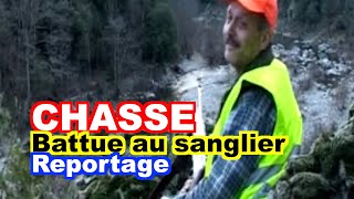 CHASSE  Battue au sanglier en Ardèche [upl. by Parker]