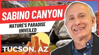 Explore Sabino Canyon  Tucsons Desert Sanctuary [upl. by Narhet757]