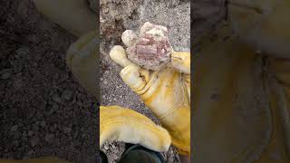 Dusty digging up some geodes at the public dig site at the Dugway Geode beds [upl. by Essinger977]