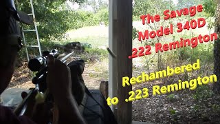 The Savage Model 340D  222 Remington rechambered to 223 Remington [upl. by Bray]