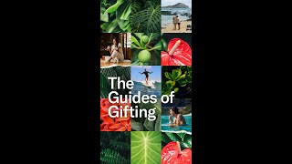 Guides of Gifting Are Here [upl. by Riella201]