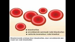 Bloedarmoede  Wat is bloedarmoede en wat zijn de symptomen [upl. by O'Donoghue]