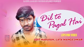 Dil To pagal Hai [upl. by Eidok]