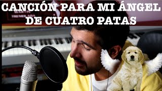 Canción Para Las Mascotas Que Ya No Están Parte 2  Martín Tremolada [upl. by Swee]