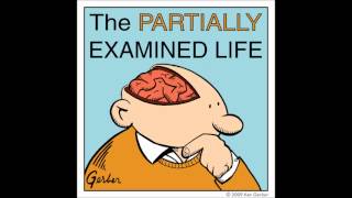 Partially Examined Life podcast  Nietzsche  On Truth amp Lies in a Nonmoral Sense [upl. by Hareenum843]