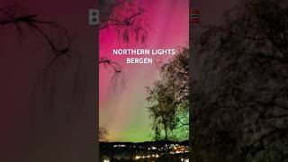 She Appeared Again  Northern Lights bergen northernlights aurora borealis norway shorts [upl. by Eirelam]