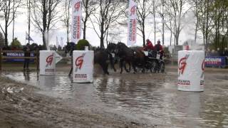 DUEN Rainer GER CAI3 Valkenswaard DVI Marathon Horses Four In Hand 30 08 2016 O 3 [upl. by Htenay835]