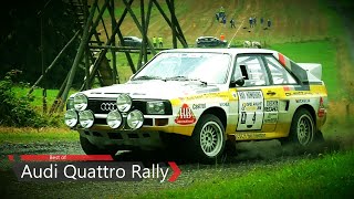 INSANE Audi Quattro Rally  Pure Sound [upl. by Card]