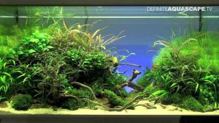 Aquascaping  The Art of the Planted Aquarium 2012 part 1 [upl. by Aliled973]