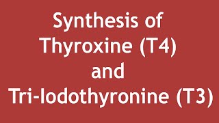 Synthesis of thyroxine T4 and triiodothyronine T3 ENGLISH  Dr Shikha Parmar [upl. by Obocaj]