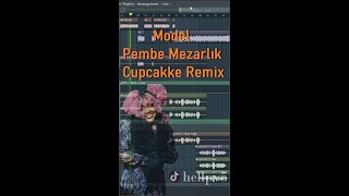 Pembe Mezarlık Cupcakke Remix [upl. by Assille]