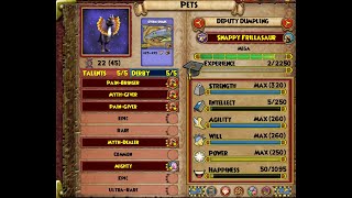 Wizard101 Best Way to Hatch Pets in 2024 [upl. by Mallin]