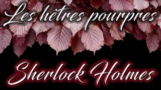 Livre audio vivant 🎧Les hêtres pourpres rouges or dorés 🎧 Sherlock Holmes [upl. by Einahets]