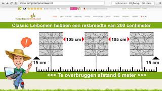 Rekenhulp voor de aanschaf van de LeiOlijfwilg uit de 120serie bij Tuinplantenwinkelnl [upl. by Engleman202]