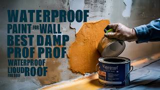 Waterproof Paint for Wall  Best Damp Proof Paint  Waterproof Liquid for Roof [upl. by Repooc]