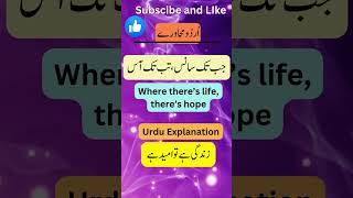 Learn 5 difficult but important urdu idioms and their English translations with urdu explanation [upl. by Andel]