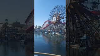 Experience the Magic of Disney California Adventure Ferris Wheel amp Roller Coaster Thrills disney [upl. by Nomi]