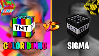 TNT COLORIDINHO vs TNT SIGMA  MINECRAFT as MELHORES TNT do MUNDO [upl. by Dorej558]