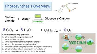 GCSE Biology RP6 Photosynthesis Revision Video [upl. by Atiuqrahs]