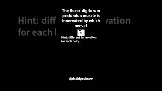 The flexor digitorum profundus muscle is innervated by which nerve Anatomy [upl. by Carlina]