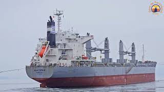 UNBERTHING  VESSEL ALKYONIS  PORT OF PARANAGUA  BRAZIL [upl. by Jerad]