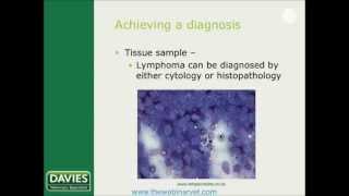 Lymphoma in cats and dogs Which protocol by Shasta Lynch [upl. by Ludewig]