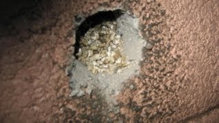 Vermiculite Insulation amp Asbestos Hazards [upl. by Gnourt]