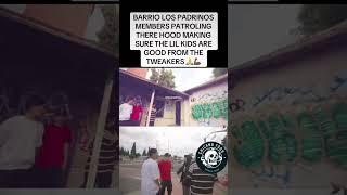 chicanofoos chicano sureno norteno hoodvlogs [upl. by Leinoto646]