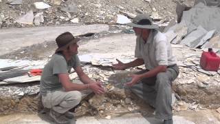 Chasing History Fossil Fish The Green River Fossil Formation Documentry [upl. by Ianaj]