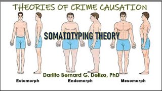 THEORIES OF CRIME CAUSATION Somatotyping Theory [upl. by Philina]