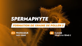 Formation de graine de pollen partie 2 [upl. by Jonie]