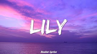 Lily Lyrics  Alan Walker K391 amp Emelie Hollow [upl. by Donica603]