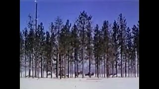 Fake pine forest built for atomic tests in Nevada [upl. by Morganica]